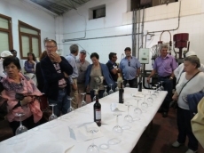 Foto 4 - Alrededor de sesenta Villorejos visitan tierras zamoranas