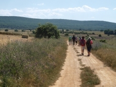 Foto 4 - Los peregrinos hacen camino en la Ruta Jacobea 'De Santiago a San Juan'