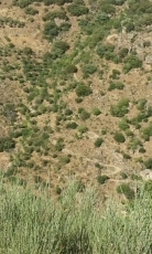 El Club BTT de Saelices disfruta de los paisajes de la comarca en una larga ruta