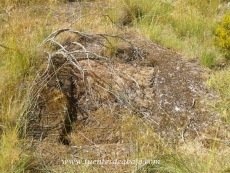 Vecinos de la localidad descubren dos nuevos lagares rupestres 