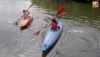 Foto 2 - Buena acogida de público en la celebración del Día de la Piragua
