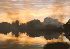 Foto 5 - Nuevo incendio intencionado en la Isla del Soto con 3.500 metros cuadrados calcinados