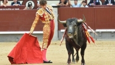 Foto 3 - Eduardo Gallo silenciado en Madrid ante un imposible encierro de Partido de Resina