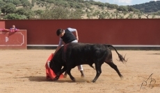 Foto 6 - Roca Rey continúa con su preparación en la ganadería salmantina de José Cruz