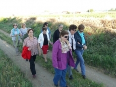 Foto 6 - Los fieles arropan a la Virgen en el rosario de la aurora
