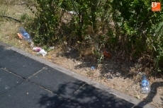 Foto 6 - Quejas por la basura acumulada en el parque de la calle Hermanos García Carraffa