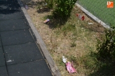 Foto 5 - Quejas por la basura acumulada en el parque de la calle Hermanos García Carraffa