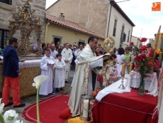 Foto 4 - El Santísimo Cristo procesiona sobre alfombras de tomillo y pétalos de rosa