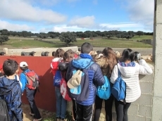 Foto 3 - Los colegios Padre Manjón, Caja de Ahorros y Beatriz Galindo, ganadores del concurso fotográfico...