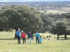 Foto 4 - Los colegios Padre Manjón, Caja de Ahorros y Beatriz Galindo, ganadores del concurso fotográfico...