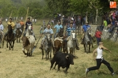 Foto 6 - Los caballistas cumplen su misi&oacute;n en el primer encierro de las fiestas