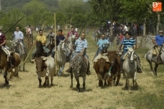 Foto 5 - Los caballistas cumplen su misi&oacute;n en el primer encierro de las fiestas
