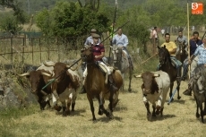 Foto 4 - Los caballistas cumplen su misi&oacute;n en el primer encierro de las fiestas