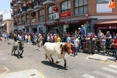 Foto 4 - El último encierro del Corpus se cobra un revolcón