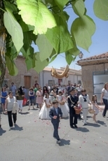 Foto 6 - Lluvia de pétalos en un Corpus en el que los niños brillaron más que el sol