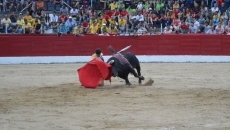 Foto 6 - Escudero lucha, y gana