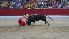 Foto 5 - Escudero lucha, y gana