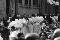 Foto 5 - Pétalos al cielo