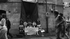 Foto 4 - Pétalos al cielo