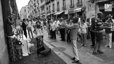 Foto 3 - Pétalos al cielo