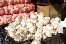 Foto 6 - Los ajos vuelven al mercado de San Juan