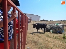 Foto 4 - Los espantos no defraudan en la última jornada festiva 