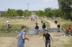 Foto 3 - El segundo encierro a caballo abre la recta final de las fiestas