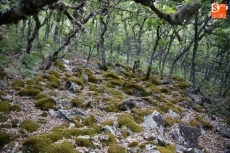 Foto 4 - Pico Cervero, un lugar para perderse en la naturaleza