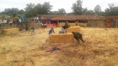 Foto 6 - Animada y taurina primera fiesta del Arroyo Froya por cortesía de ‘Boyero’