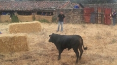 Foto 4 - Animada y taurina primera fiesta del Arroyo Froya por cortesía de ‘Boyero’