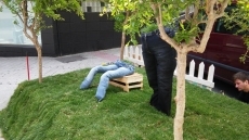 Foto 4 - 'Verdades a medias', una original creación floral en el Barrio del Oeste