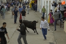 Foto 5 - Las vaquillas pasan a ser las protagonistas de las fiestas