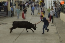 Foto 4 - Las vaquillas pasan a ser las protagonistas de las fiestas