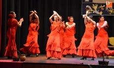 Foto 6 - Éxito absoluto del festival flamenco a favor de ‘Miradas que hablan’