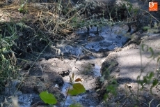 Foto 4 - La Alameda de la Moretona vuelve a resultar afectada por el desborde de aguas fecales