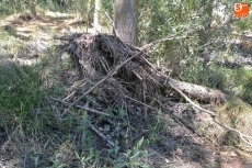 Foto 3 - La Alameda de la Moretona vuelve a resultar afectada por el desborde de aguas fecales