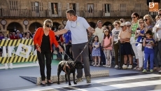 Foto 4 - Los perros de la ONCE, ejemplo de fidelidad y entrega