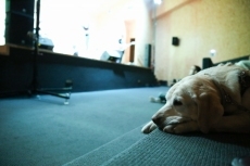 Foto 6 - El 'Día de la ONCE en Castilla y León' se anticipa con un concierto de Coraluna