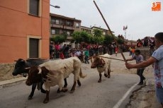 Foto 6 - ‘Visto y no visto’ el primer encierro de las fiestas de San Juan