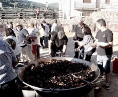 Foto 5 - Cien kilos de mejillones para pasar la tarde 