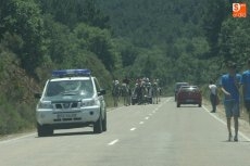 Foto 5 - Susto en el encierro por una vaca que se escapó del recorrido