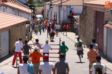 Foto 6 - Animado segundo encierro de Caridad Cobaleda para despedir de las fiestas