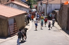 Foto 4 - Animado segundo encierro de Caridad Cobaleda para despedir de las fiestas