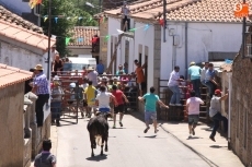 Foto 3 - Animado segundo encierro de Caridad Cobaleda para despedir de las fiestas