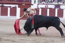Morante y Perera cortan una oreja por coleta a la corrida de El Puerto en Zamora