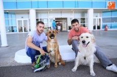 &Eacute;xito de E. Leclerc con su desfile canino para todas las razas