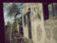Tempus fugit 