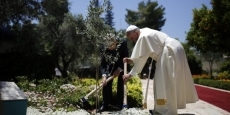 Encíclica del Papa Francisco sobre Ecología