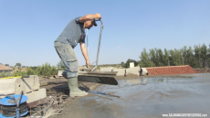 Foto 5 - El misterioso caso del escarabajo de Hondura