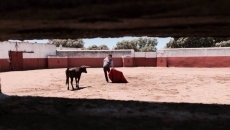 Foto 4 - El Ayuntamiento estudia devolver la organización de los festejos taurinos a 'Los Matilla'